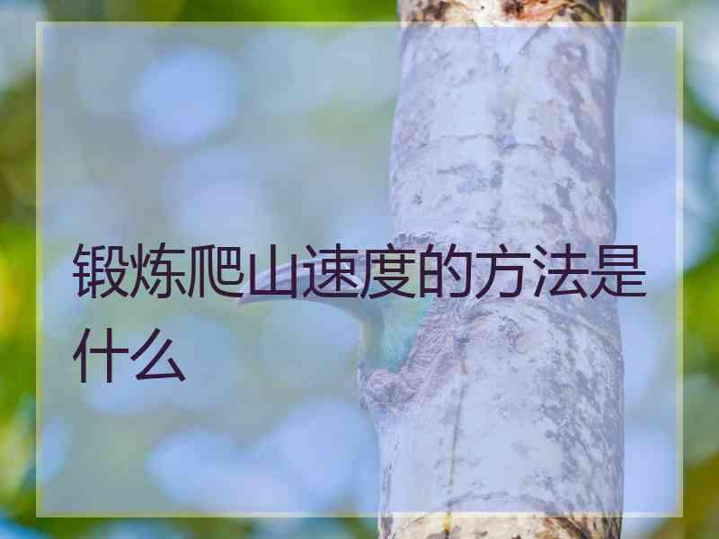 锻炼爬山速度的方法是什么