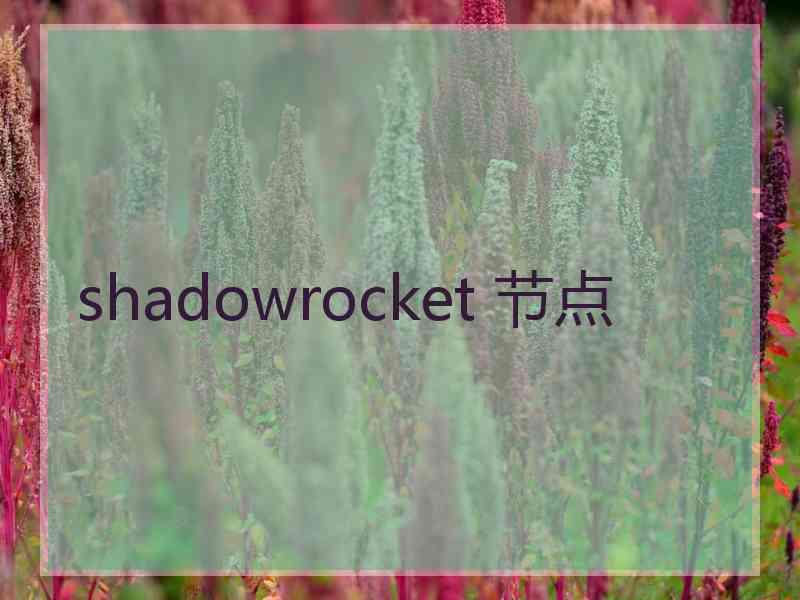 shadowrocket 节点