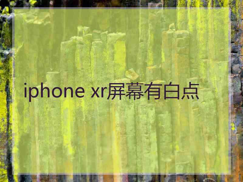 iphone xr屏幕有白点