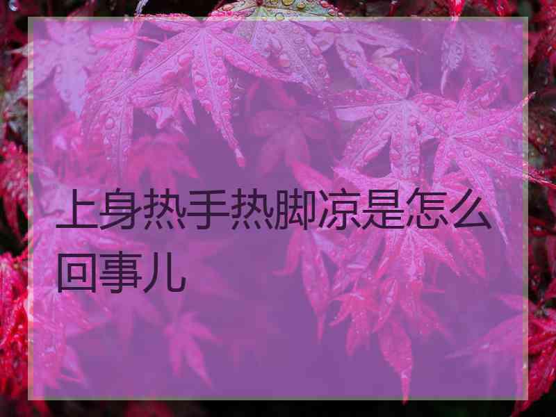 上身热手热脚凉是怎么回事儿