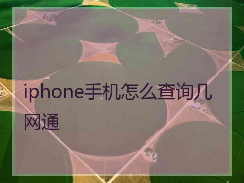 iphone手机怎么查询几网通