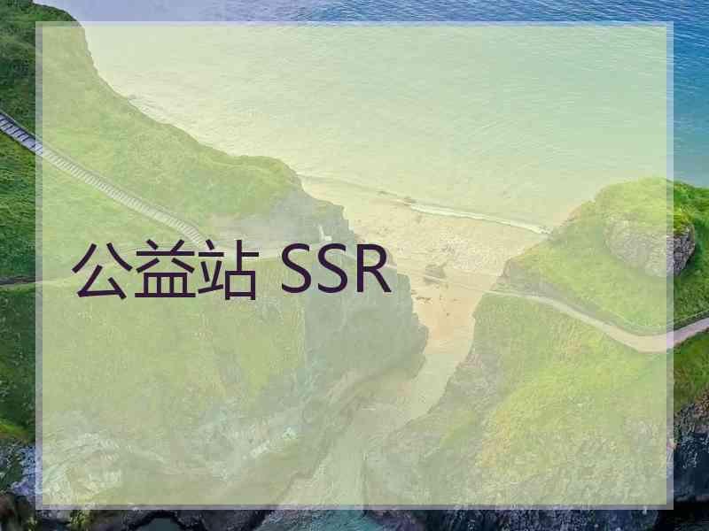 公益站 SSR