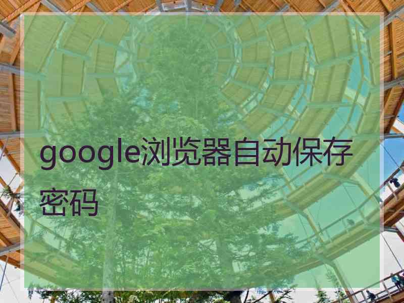 google浏览器自动保存密码