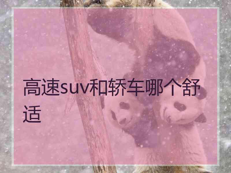 高速suv和轿车哪个舒适