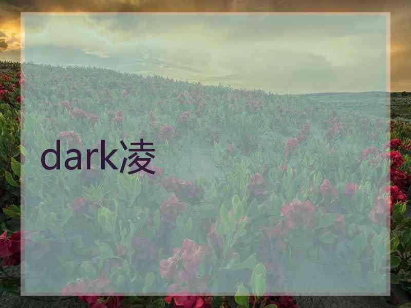 dark凌