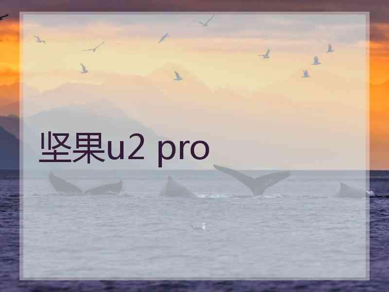 坚果u2 pro