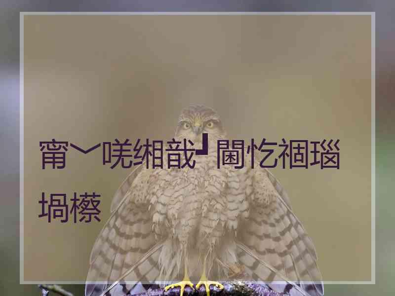 甯﹀唴缃戠┛閫忔祻瑙堝櫒