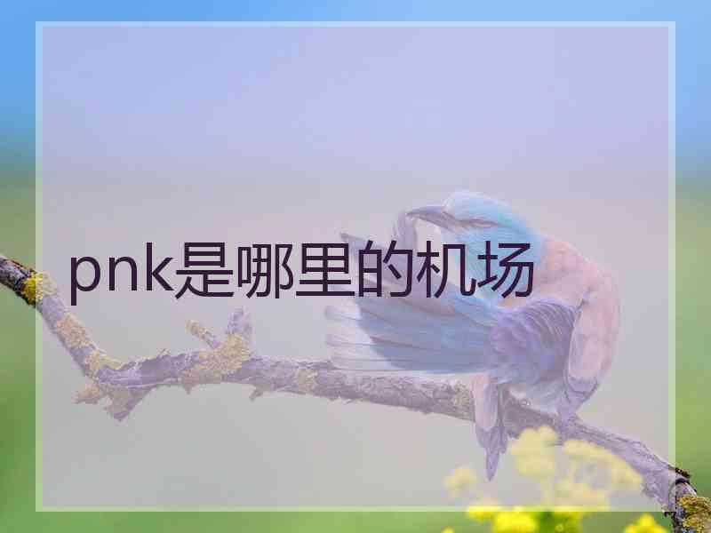 pnk是哪里的机场