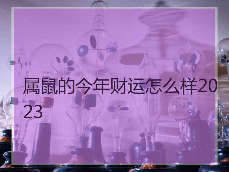 属鼠的今年财运怎么样2023