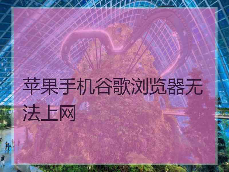 苹果手机谷歌浏览器无法上网