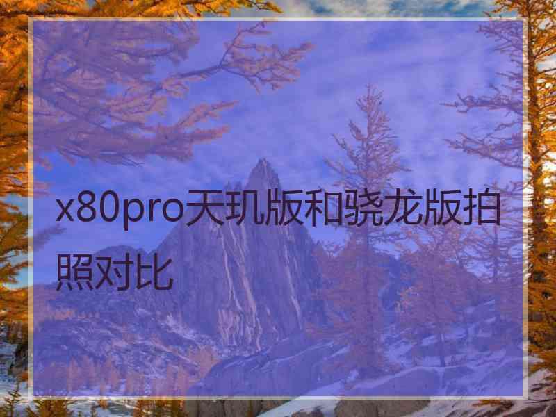 x80pro天玑版和骁龙版拍照对比