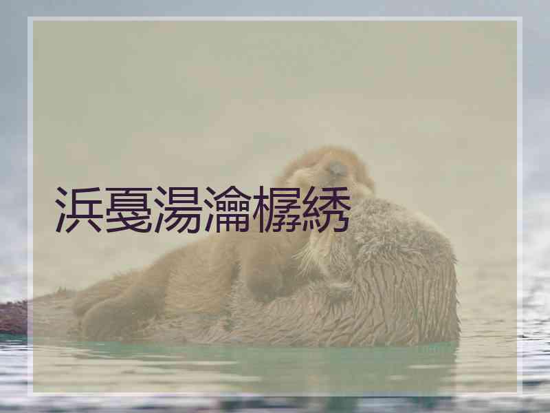 浜戞湯瀹樼綉