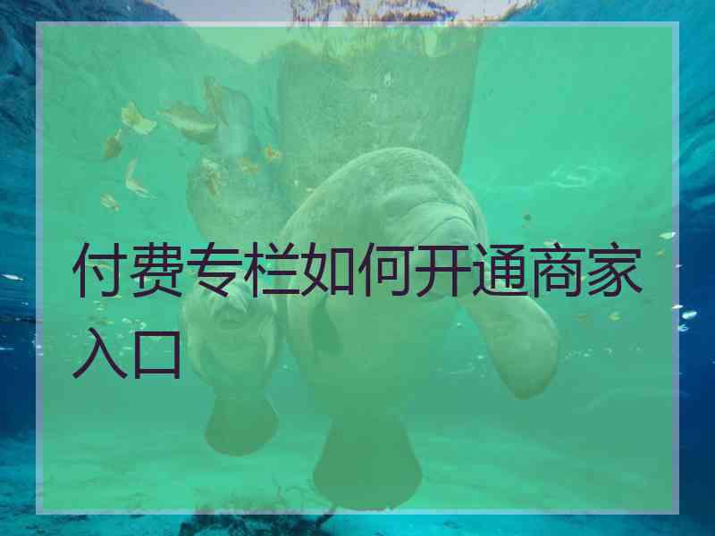 付费专栏如何开通商家入口