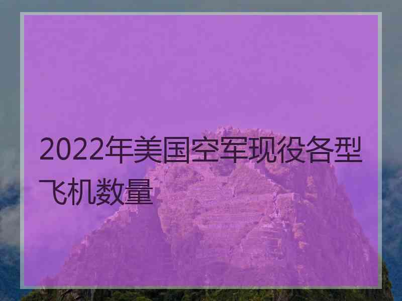 2022年美国空军现役各型飞机数量