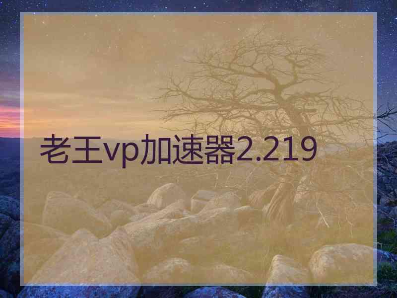 老王vp加速器2.219