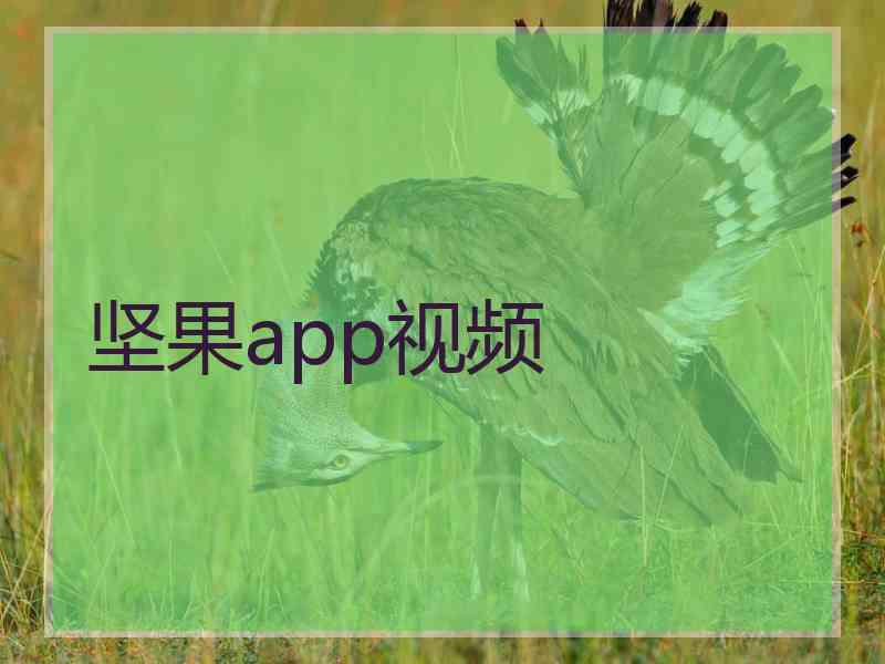 坚果app视频