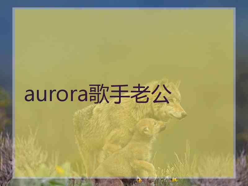 aurora歌手老公