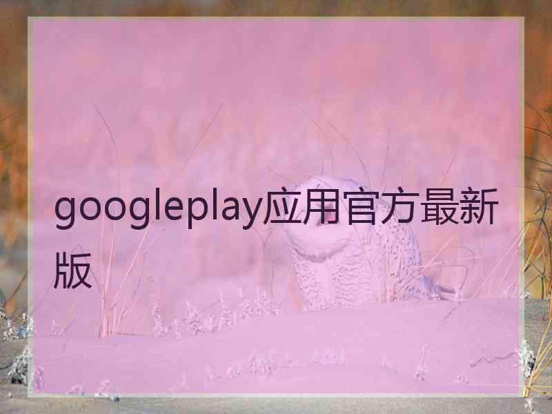 googleplay应用官方最新版