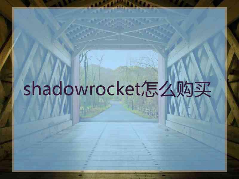 shadowrocket怎么购买