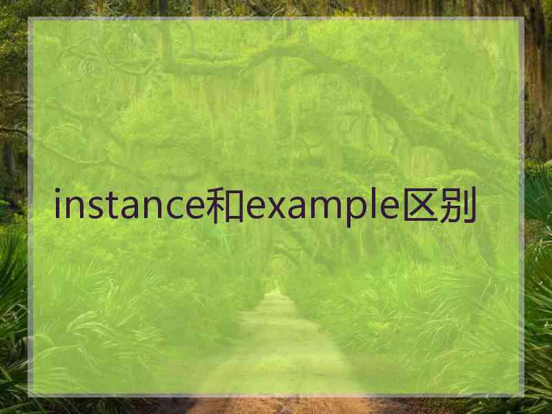 instance和example区别