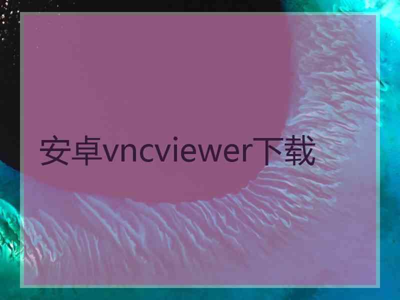 安卓vncviewer下载