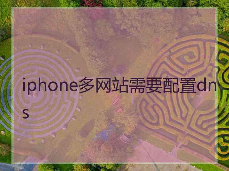 iphone多网站需要配置dns