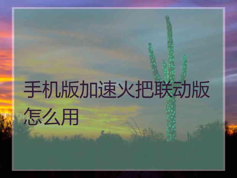 手机版加速火把联动版怎么用