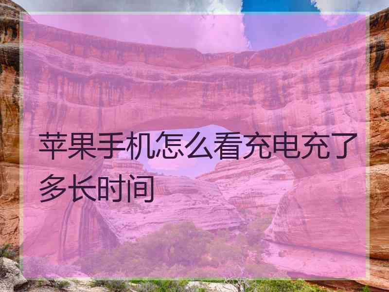 苹果手机怎么看充电充了多长时间