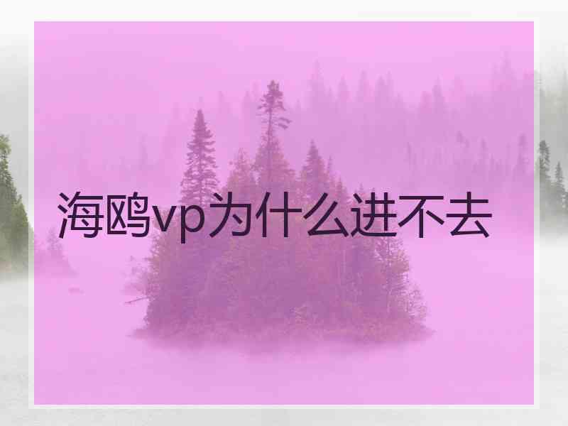 海鸥vp为什么进不去