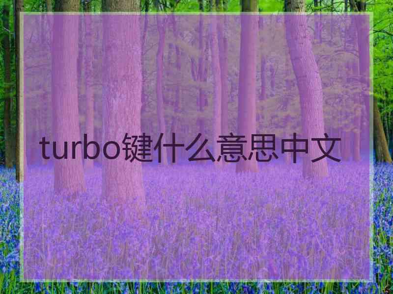 turbo键什么意思中文