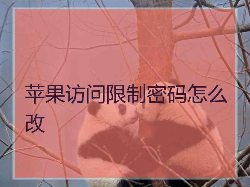 苹果访问限制密码怎么改