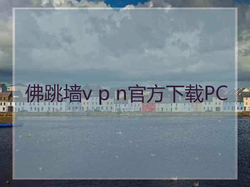 佛跳墙v p n官方下载PC