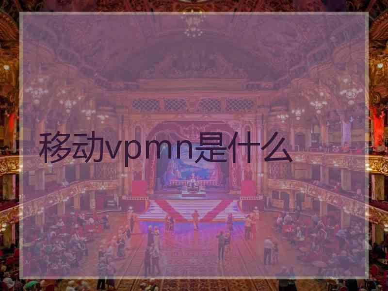 移动vpmn是什么