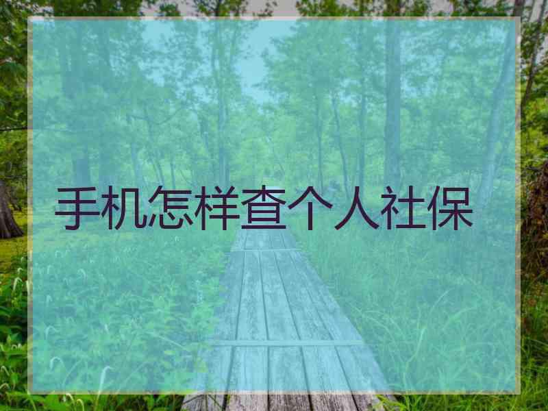 手机怎样查个人社保