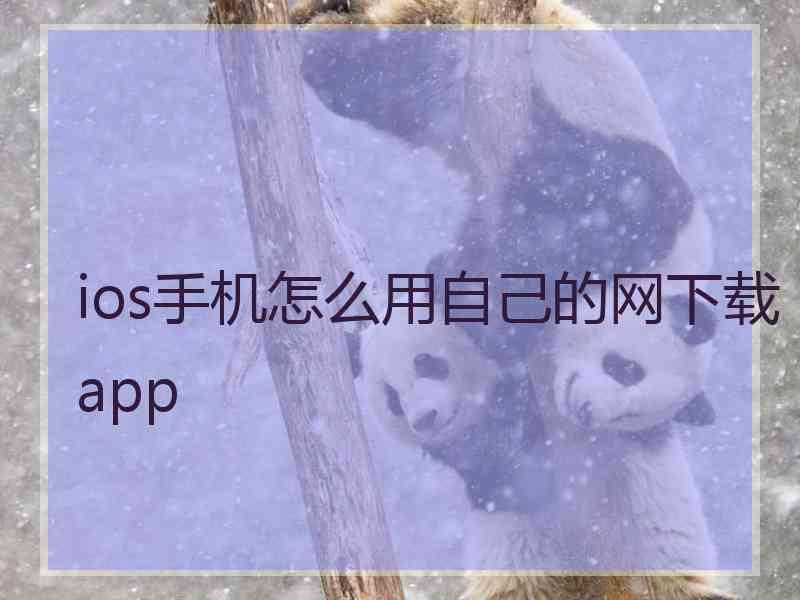 ios手机怎么用自己的网下载app