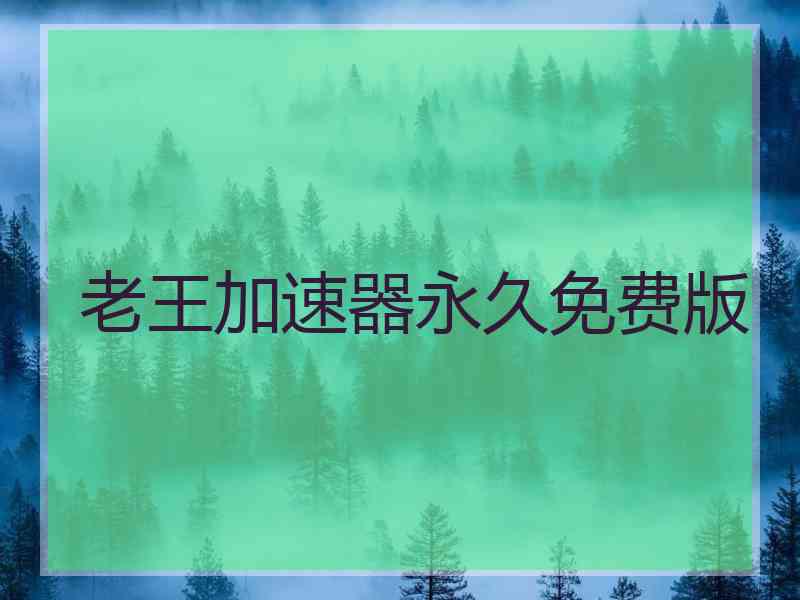 老王加速器永久免费版