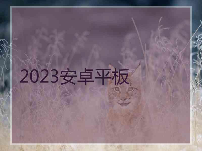 2023安卓平板