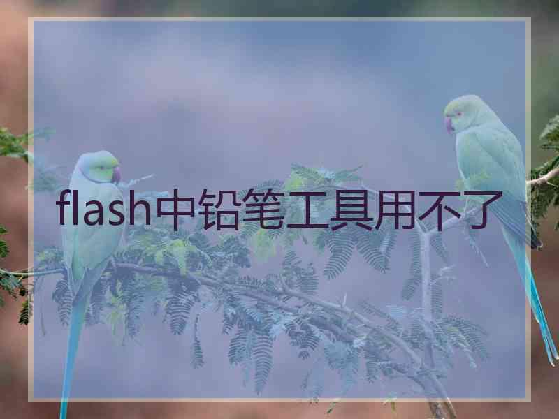 flash中铅笔工具用不了