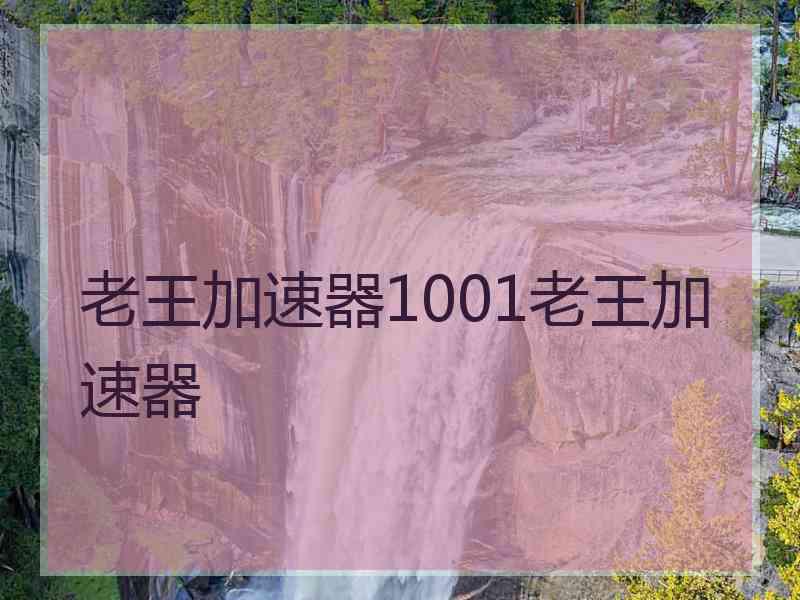 老王加速器1001老王加速器