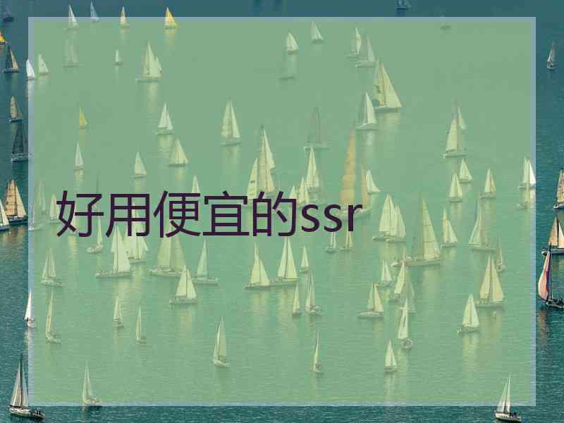 好用便宜的ssr