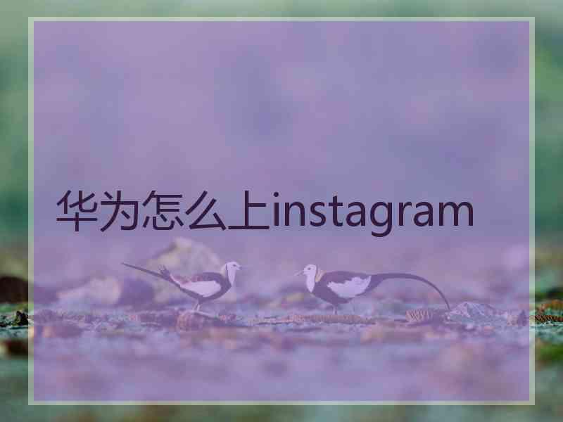 华为怎么上instagram