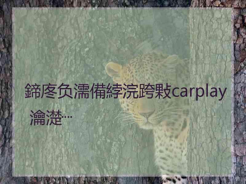 鍗庝负濡備綍浣跨敤carplay 瀹濋┈