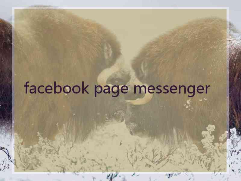 facebook page messenger