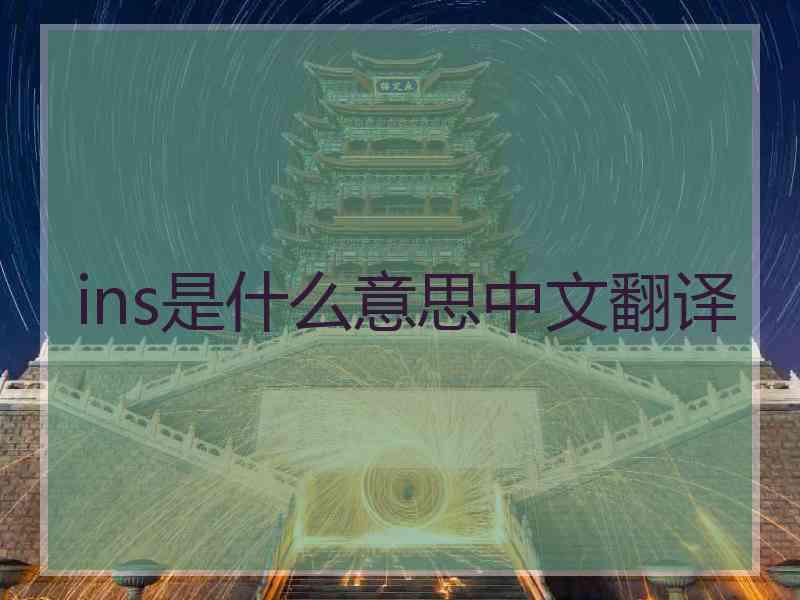 ins是什么意思中文翻译