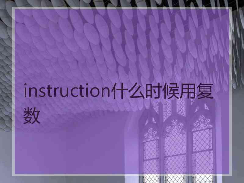 instruction什么时候用复数