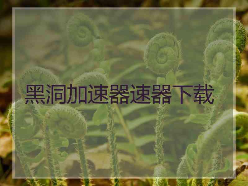 黑洞加速器速器下载