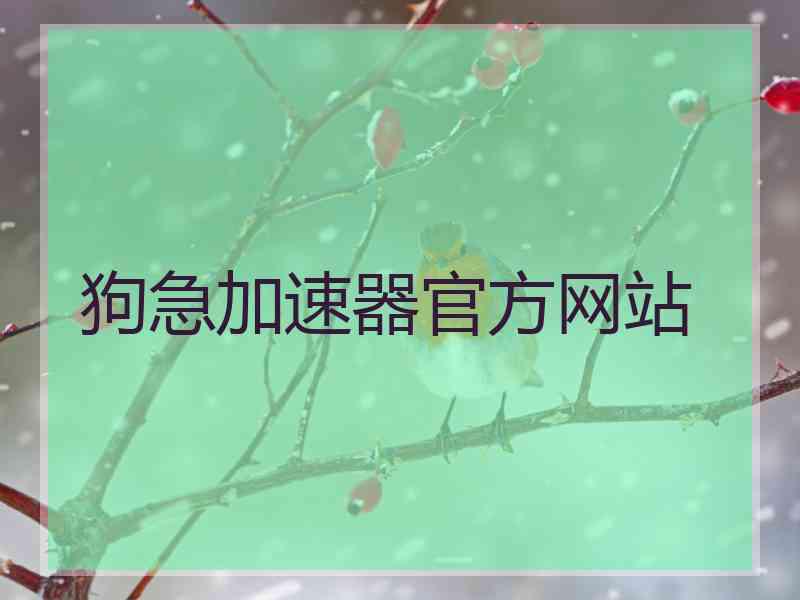 狗急加速器官方网站