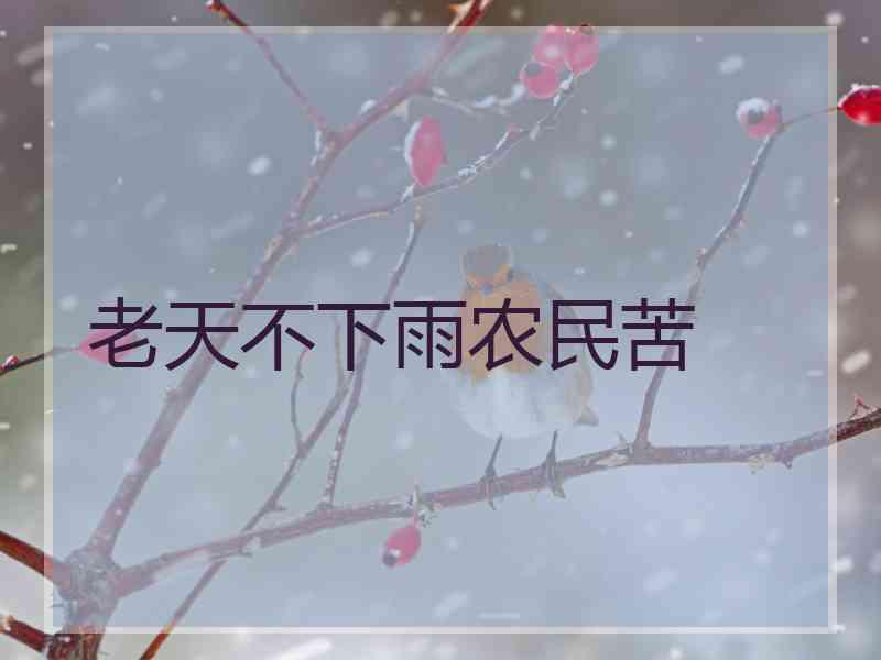 老天不下雨农民苦