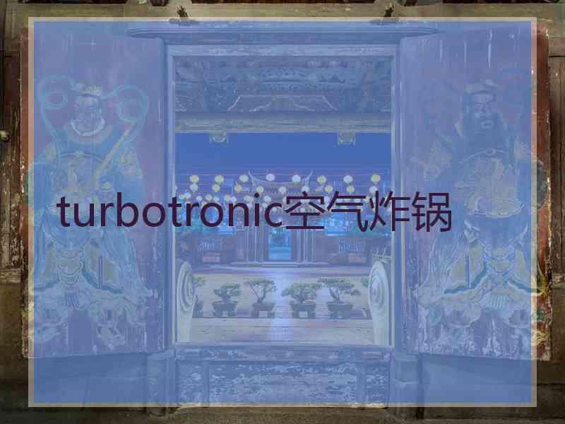 turbotronic空气炸锅