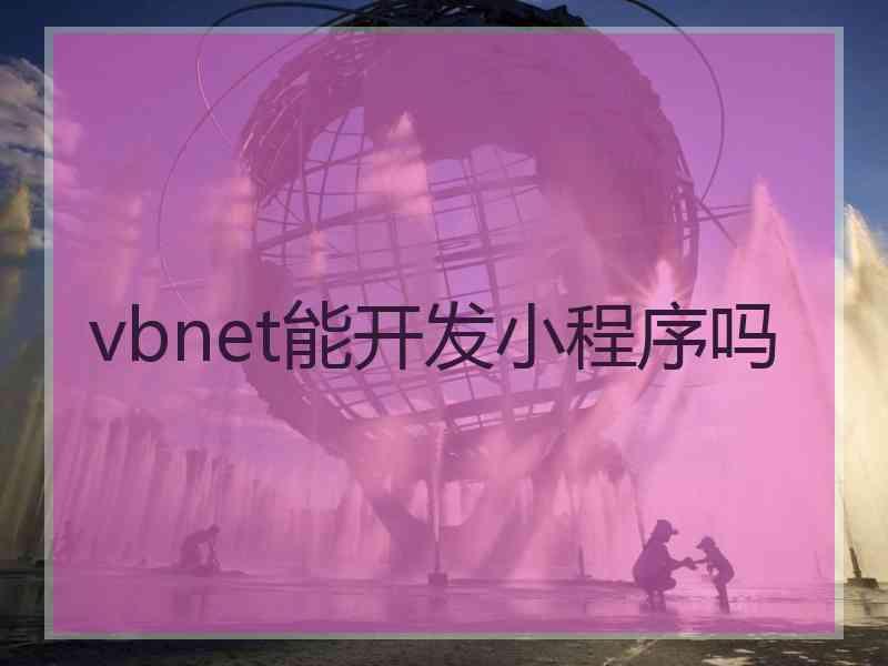 vbnet能开发小程序吗